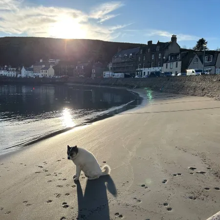Harbour Hoose - Stonehaven