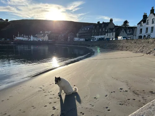 Harbour Hoose - Stonehaven - 3-Star