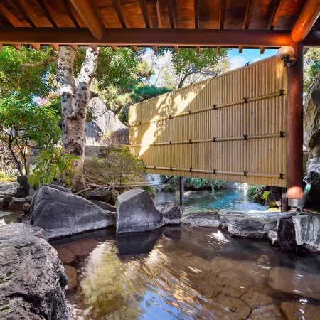 Isawa View Hotel