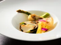 Fourtreat Plus Nasukogen - Aamiainen