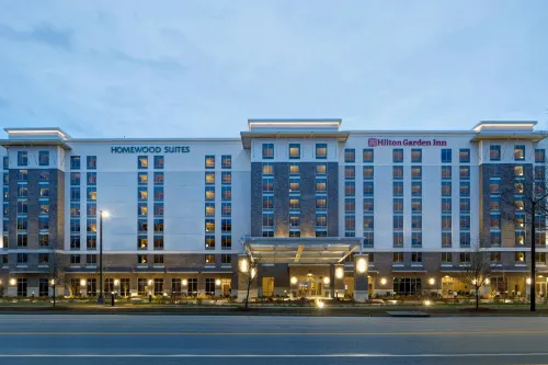 Hilton Garden Inn Summerville - Wifi