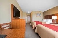 Comfort Inn & Suites - สัตว์เลี้ยง