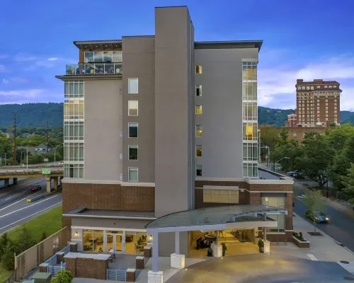 DoubleTree by Hilton Asheville Downtown - غرفة مطلة على الجبل