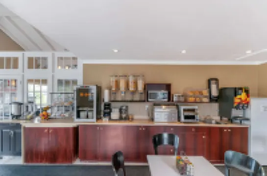 이코노 로지 브로사드