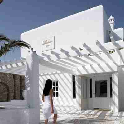 帕拉迪爾姆飯店 Hotel Exterior