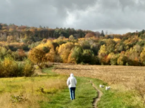 Apartment under Cedar Hotels in Wroclawski