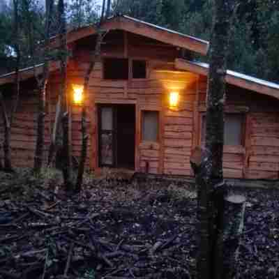 Cabaña rústica 2 Maravillosa,Con Troncos Nativos, Con Orilla de Río Trancura Hotel Exterior