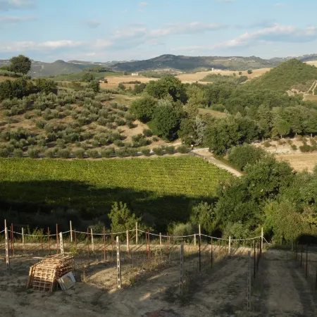 Podere Caldaruccio la Pineta - Cottage Baita