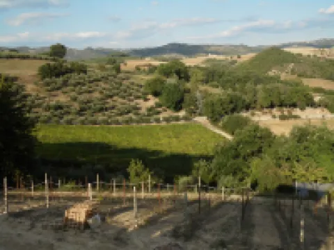 Podere Caldaruccio la Pineta - Cottage Baita