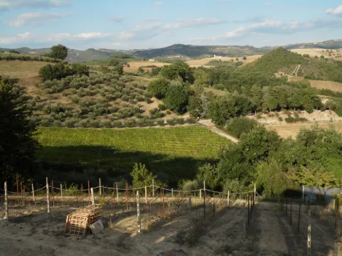 Podere Caldaruccio la Pineta - Cottage Baita