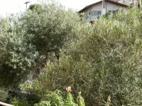 Katerina Hotel Hotels in Vivari