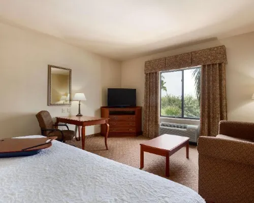 Hampton Inn & Suites Pharr Hotels in Pharr