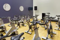 Hilton Mississauga/Meadowvale - palestra
