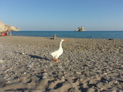 45m2 Apartment on the Ground Floor with Terrace and Private Pool on the Terrace.