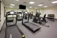 Holiday Inn Express & Suites DAVENPORT by IHG - Træningscentre