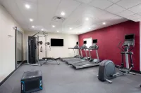 Home2 Suites by Hilton Roswell, NM - نادي رياضي