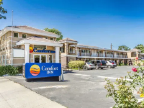 Comfort Inn Palo Alto Hotels in Palo Alto