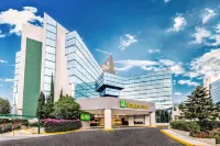 La Joya Pachuca Hotels in Пачука