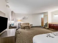 舒眠旅館 克洛維斯酒店