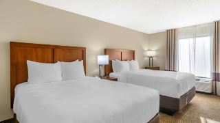 comfort-inn-and-suites-st-pete-clearwater-international-airport