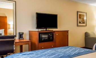 Comfort Inn & Suites Franklin East