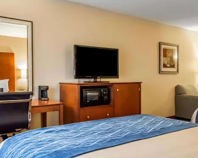 Comfort Inn & Suites Franklin East Hôtels à : Comte de Simpson