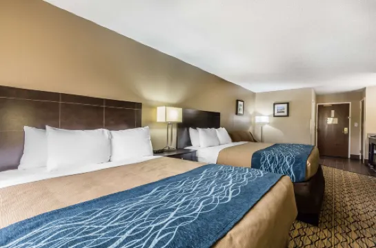 Comfort Inn & Suites Crystal Inn Sportsplex