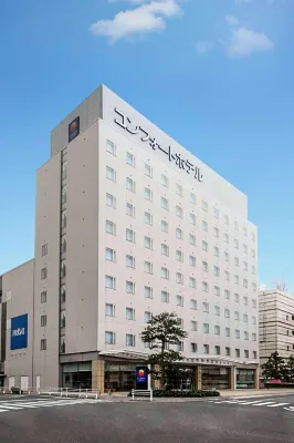 컴포트 호텔 도요카와 - 주차장