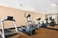 Comfort Inn & Conference Centre Toronto Airport - Gym