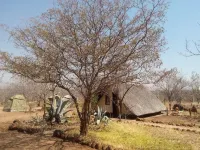 Liya Guest Lodge Hotels in Kasane