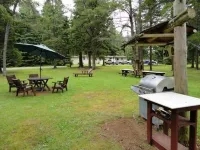 Pinecone Motel Hotels in Kings County