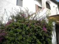 Albergo Montechiari فنادق في Montopoli in Val d'Arno