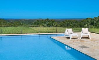 a large outdoor swimming pool surrounded by lush green grass , with a view of the ocean in the background at Ferncrest