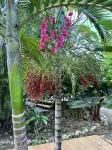 Jamaica Colors Eco-Retreat Hotel and Spa Hotel a 