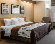 Spark by Hilton Lynchburg - University Area & Hwy 460
