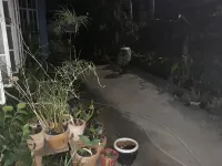 Cvnb Bed and Bath la Union Hotels near Coral Point Resort