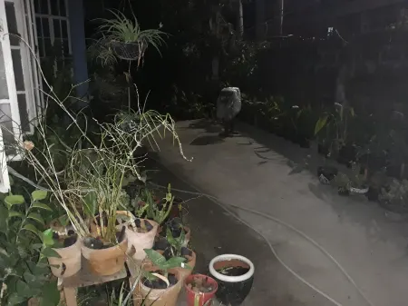 Cvnb Bed and Bath la Union Отели рядом с достопримечательностью «Maria's 45 days»