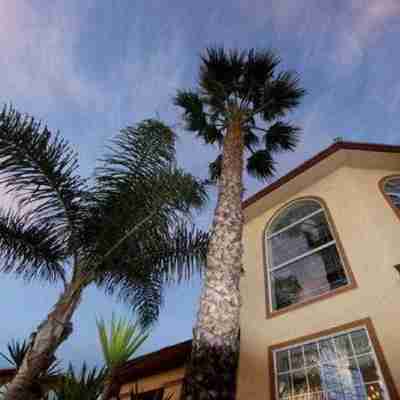 Best Western Oxnard Inn Hotel Exterior