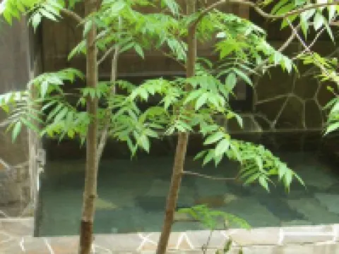 Komakusa 湯澤市酒店