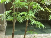 Komakusa Hotel in zona JR Shimo-Yuzawa station