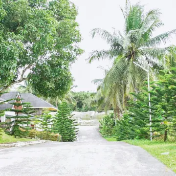 Lucia’s Bed and Breakfast Resort