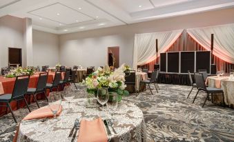 Embassy Suites by Hilton Alpharetta Halcyon