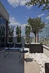 Novus City Hotel