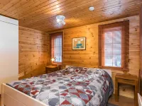 Puolen Hehtaarin metsä