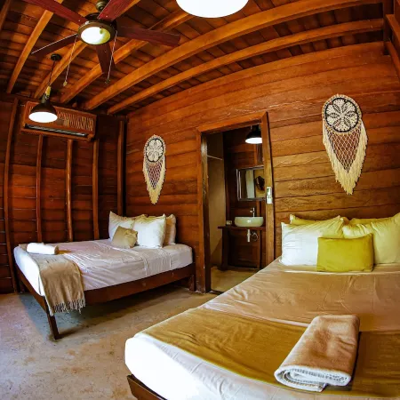Coconut by ÓOL Hotels