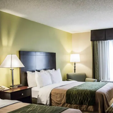 Comfort Inn & Suites St Pete - Clearwater International Airport