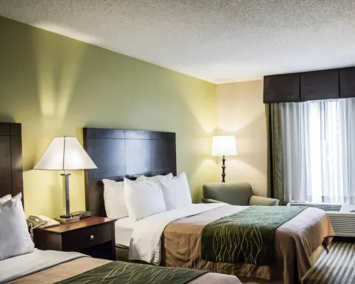 Comfort Inn & Suites St Pete - Clearwater International Airport Hotels in Pinellas County