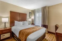 Spark Hotel Asheville East-Blue Ridge Pkwy Access