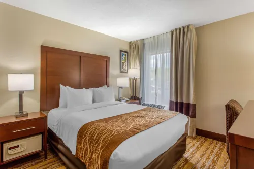 Comfort Inn Asheville East-Blue Ridge Pkwy Access