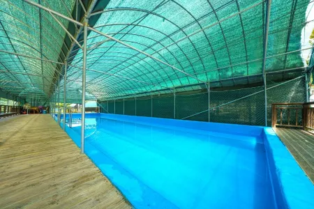 Nonsan Benjamin Pension & Glamping